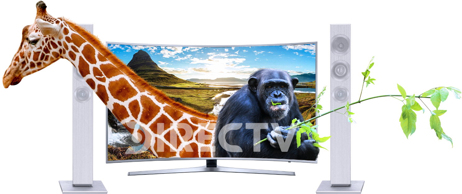 tv-directv-banner-jirafa-mono-aventuras.png